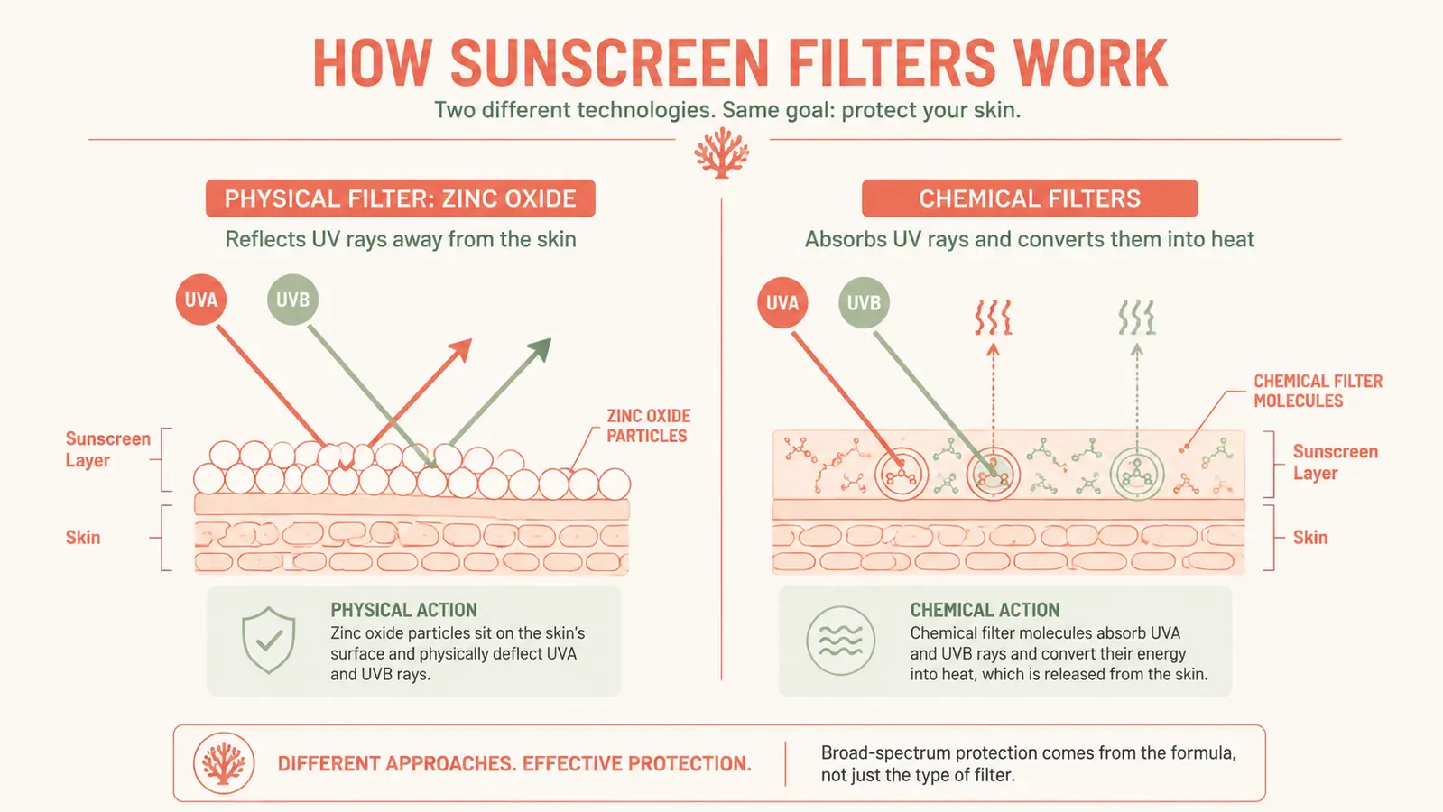Diagram comparing UV ray penetration blocked by zinc oxide versus chemical filter absorption