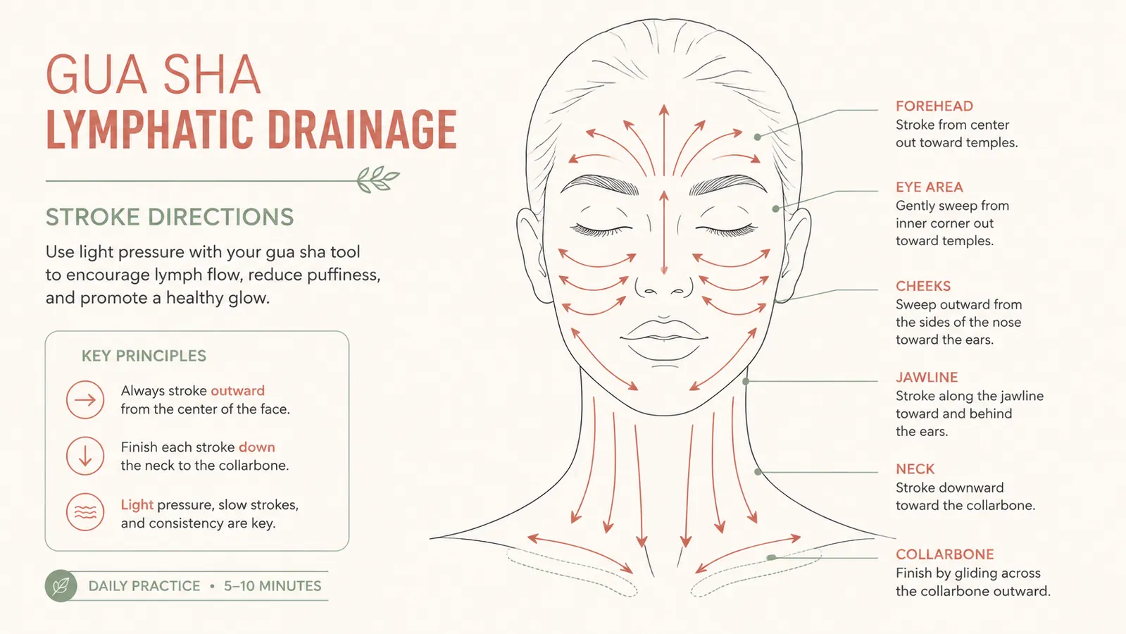 Simple diagram showing lymphatic drainage stroke directions on the face and neck, arrows pointing outward and downward toward the collarbone